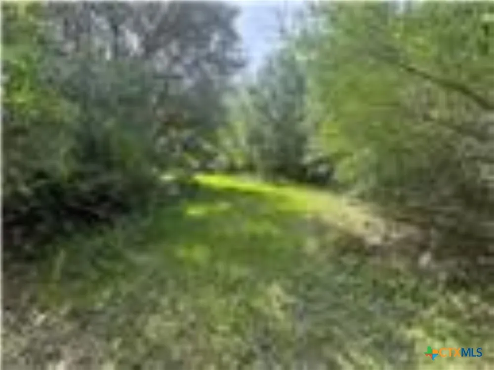 Dewberry Lane Louise, TX 77455