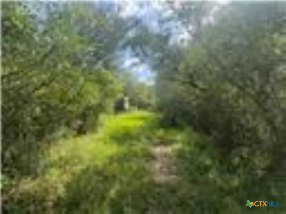 Dewberry Lane Louise, TX 77455