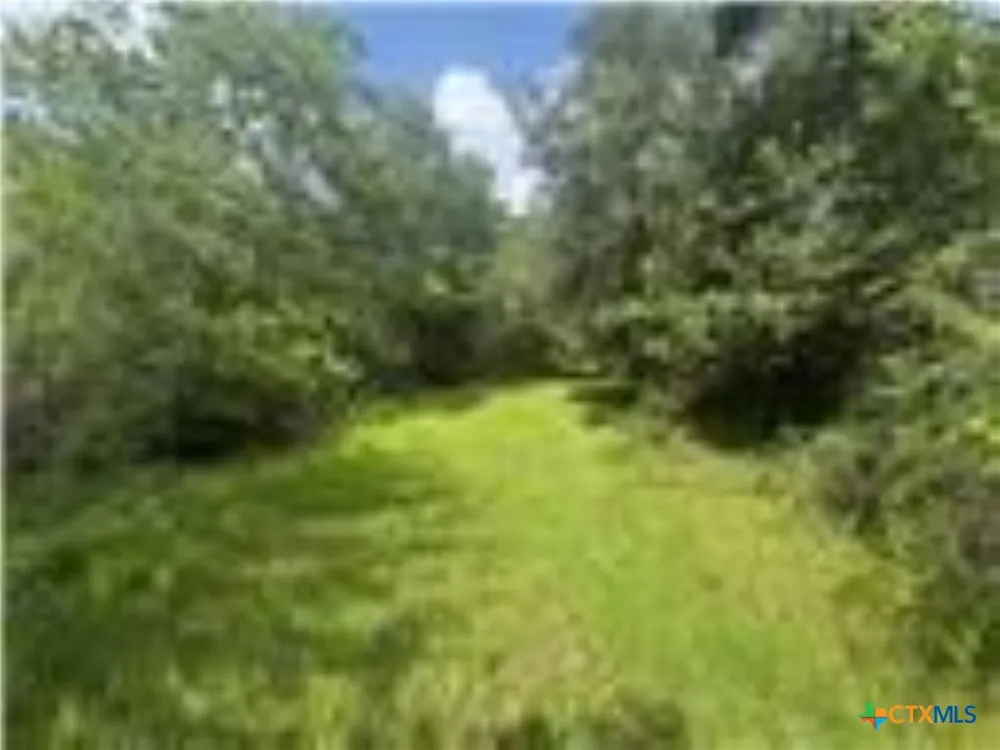 Dewberry Lane Louise, TX 77455