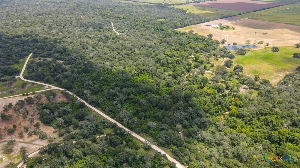 Dewberry Lane Louise, TX 77455