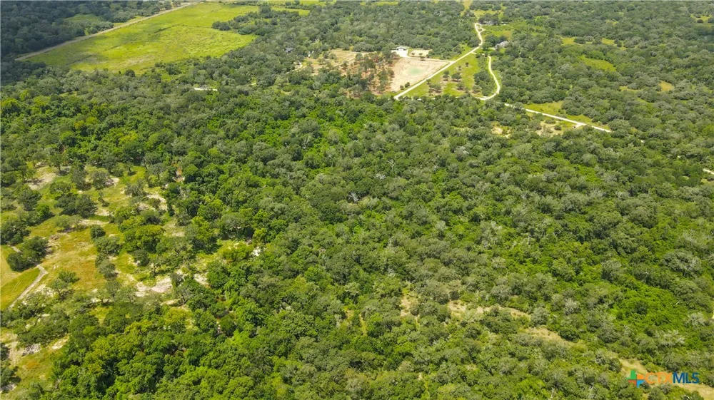 Dewberry Lane Louise, TX 77455