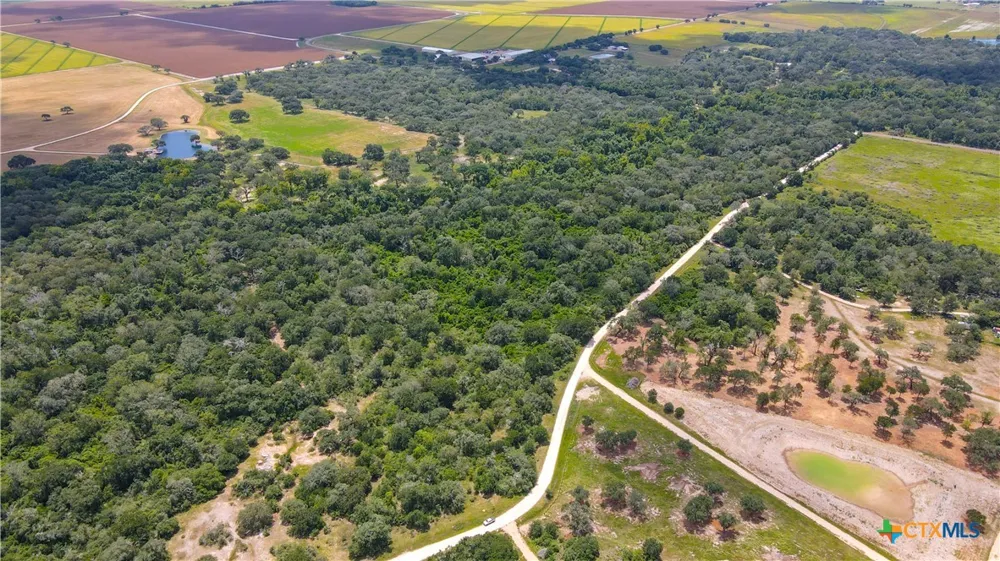 Dewberry Lane Louise, TX 77455