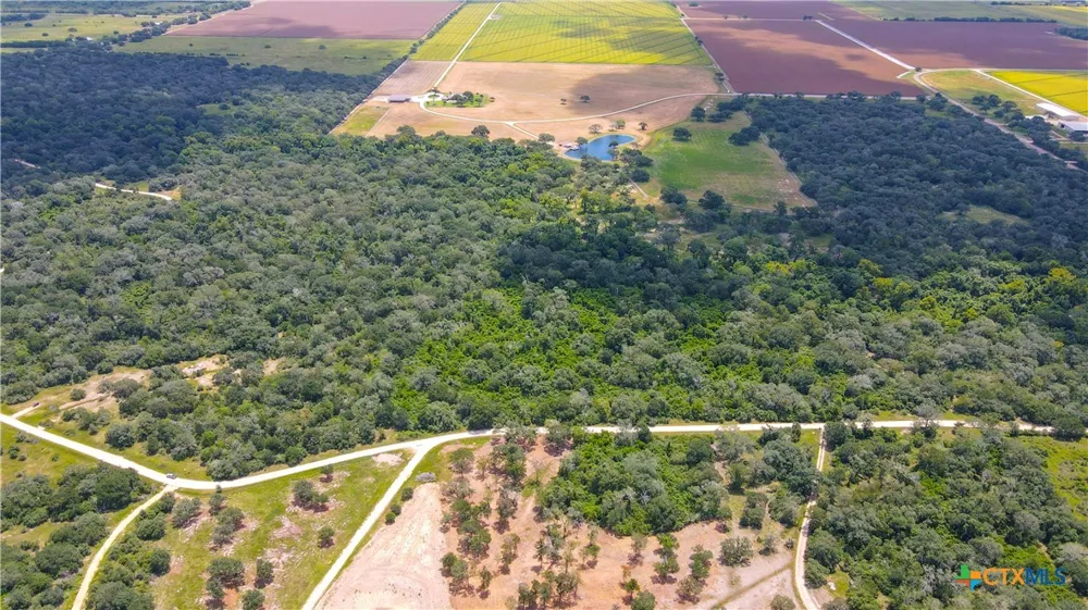 Dewberry Lane Louise, TX 77455