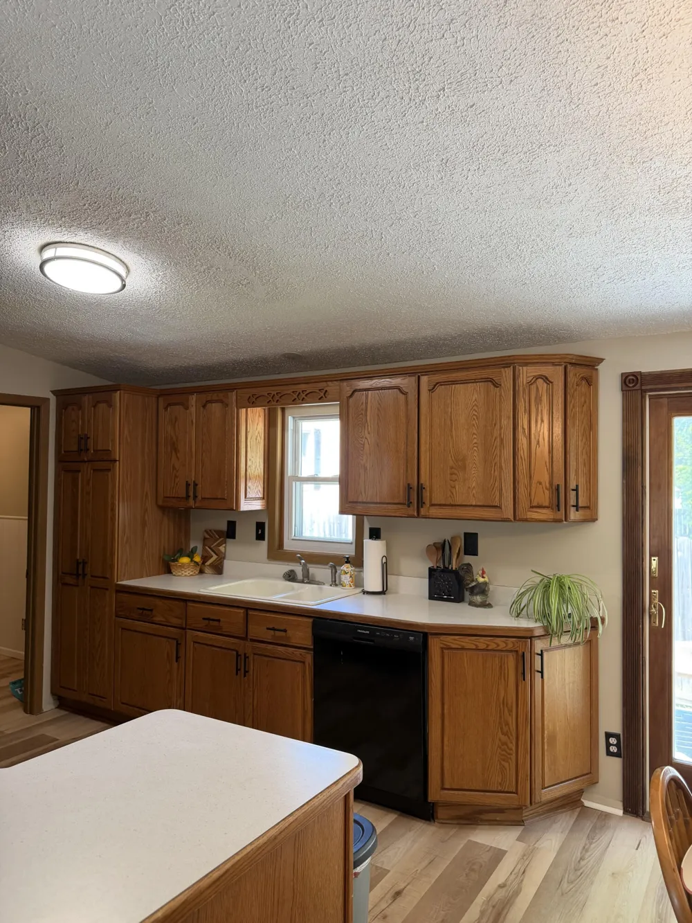 221 S Madison Street Adrian, MI 49221