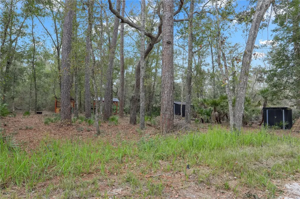 00 SE 929TH STREET Old Town, FL 32680