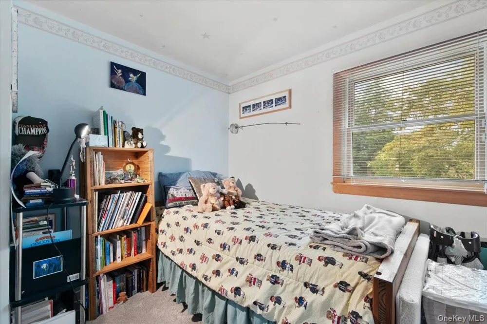9 Donald Drive Old Bethpage, NY 11804