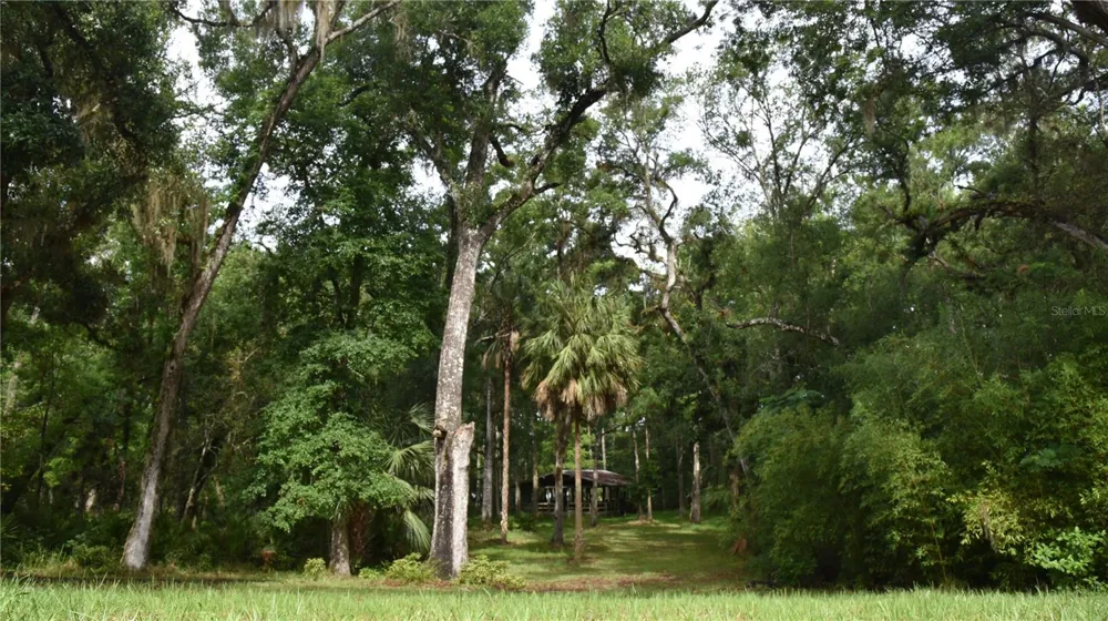 8650 NW 136TH AVENUE Chiefland, FL 32626