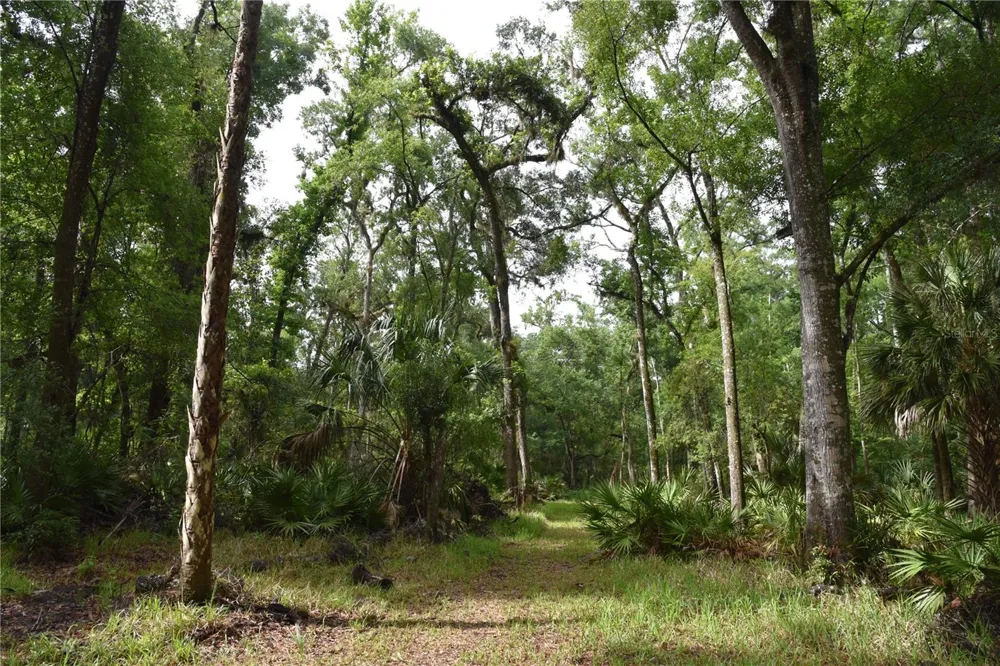 8650 NW 136TH AVENUE Chiefland, FL 32626