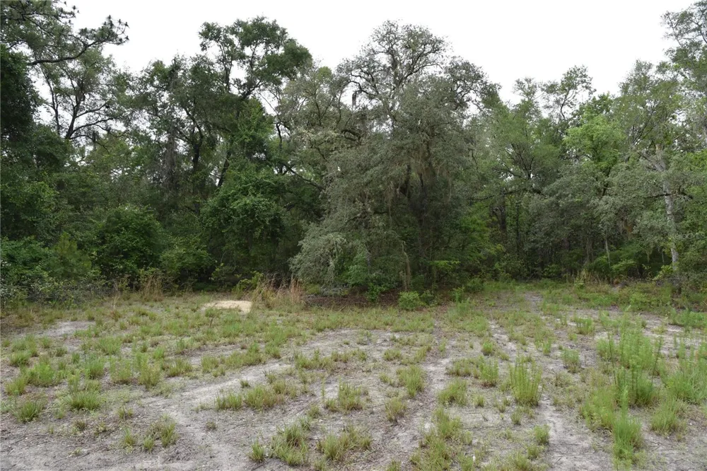 8650 NW 136TH AVENUE Chiefland, FL 32626
