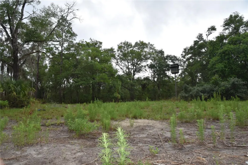 8650 NW 136TH AVENUE Chiefland, FL 32626