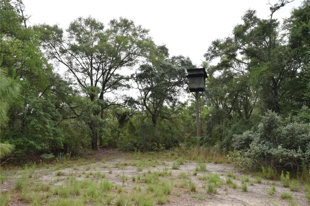 8650 NW 136TH AVENUE Chiefland, FL 32626
