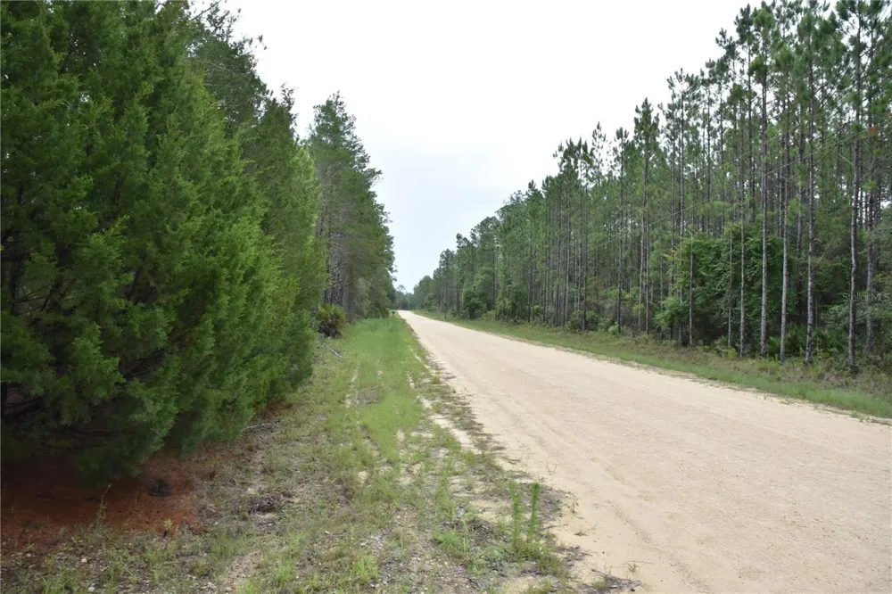 8650 NW 136TH AVENUE Chiefland, FL 32626