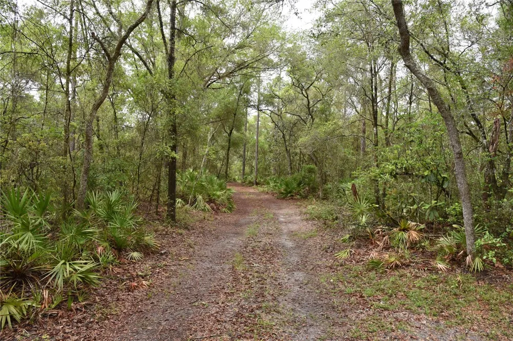 8650 NW 136TH AVENUE Chiefland, FL 32626