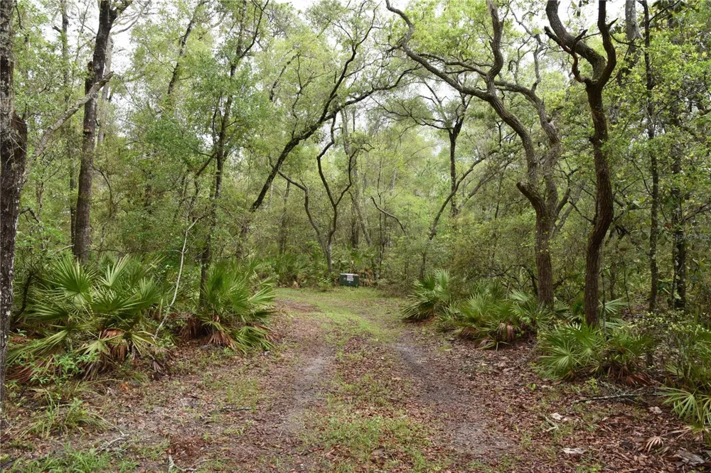 8650 NW 136TH AVENUE Chiefland, FL 32626
