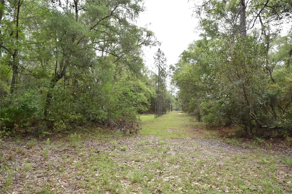 8650 NW 136TH AVENUE Chiefland, FL 32626