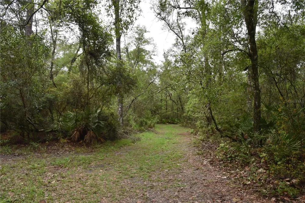 8650 NW 136TH AVENUE Chiefland, FL 32626