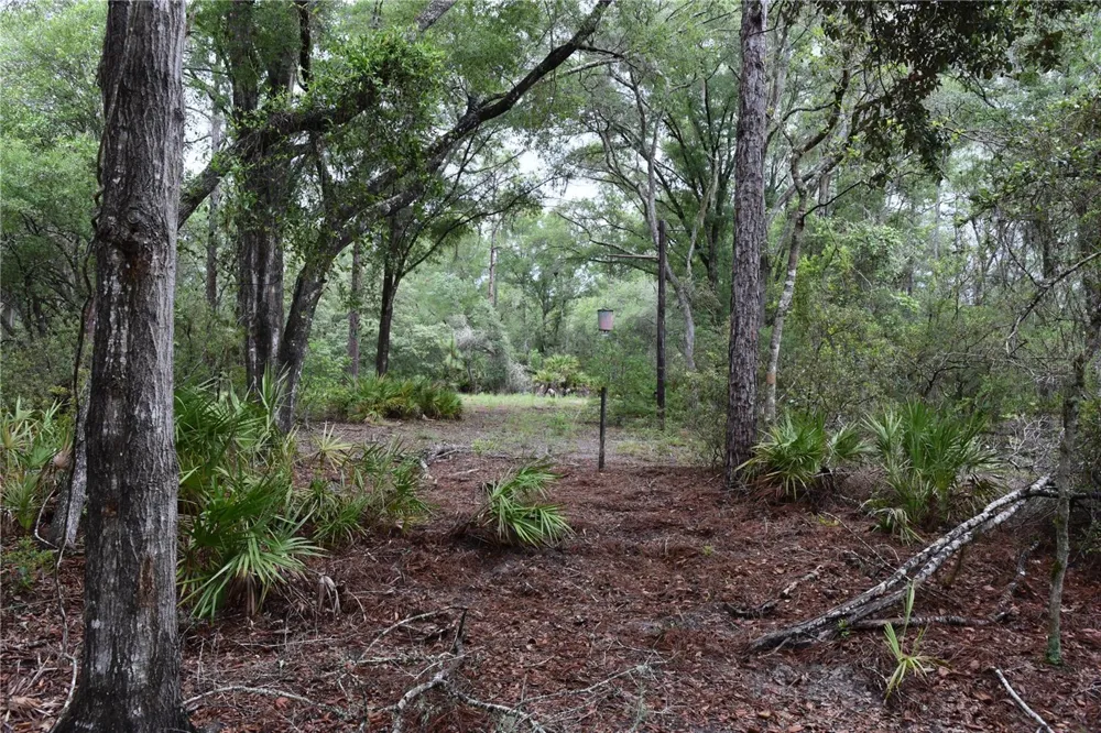 8650 NW 136TH AVENUE Chiefland, FL 32626