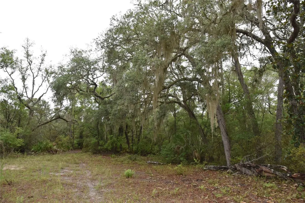 8650 NW 136TH AVENUE Chiefland, FL 32626