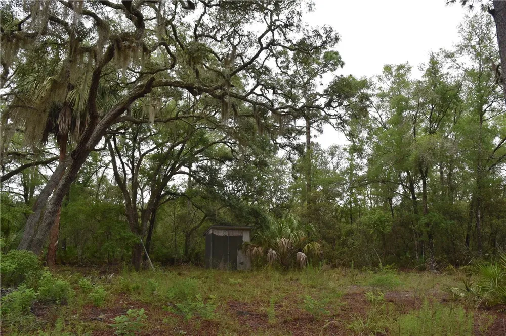8650 NW 136TH AVENUE Chiefland, FL 32626