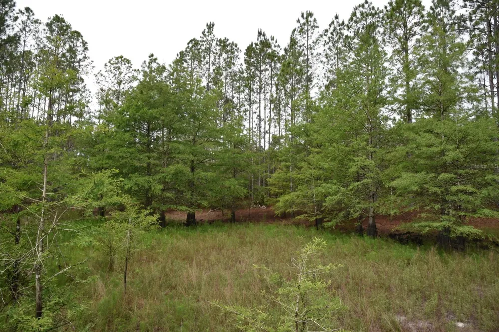 8650 NW 136TH AVENUE Chiefland, FL 32626