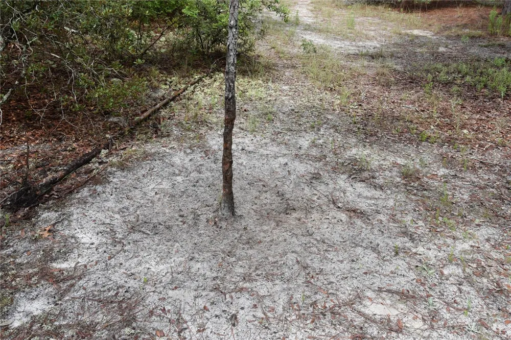 8650 NW 136TH AVENUE Chiefland, FL 32626