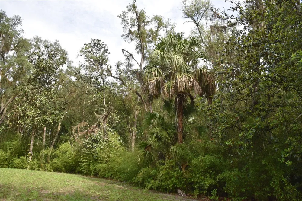 8650 NW 136TH AVENUE Chiefland, FL 32626