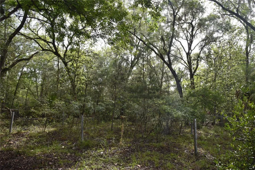 8650 NW 136TH AVENUE Chiefland, FL 32626