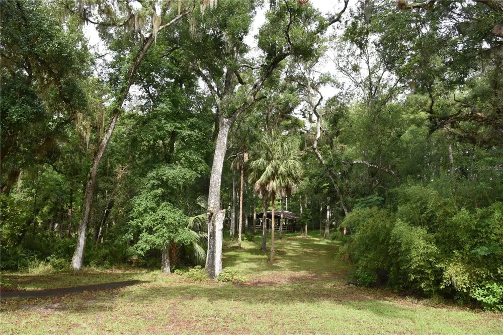 8650 NW 136TH AVENUE Chiefland, FL 32626