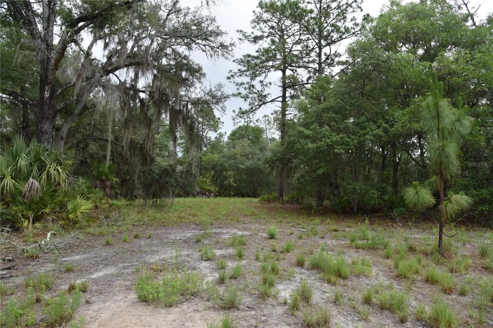 8650 NW 136TH AVENUE Chiefland, FL 32626