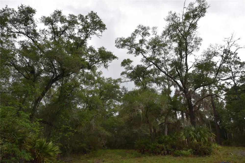 8650 NW 136TH AVENUE Chiefland, FL 32626