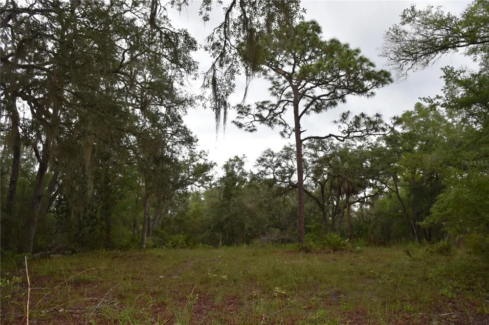 8650 NW 136TH AVENUE Chiefland, FL 32626