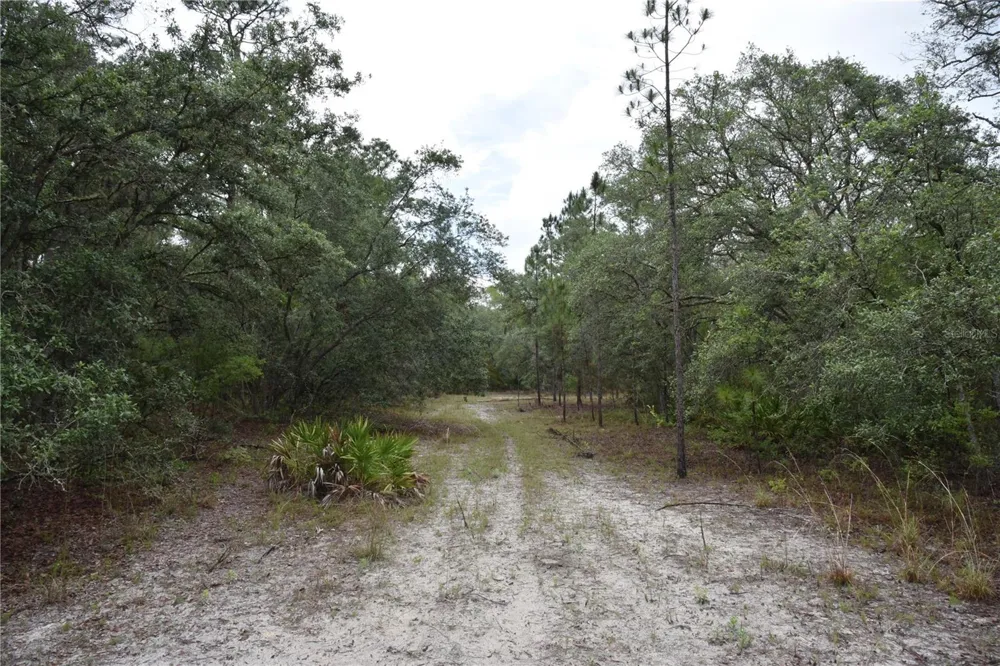 8650 NW 136TH AVENUE Chiefland, FL 32626