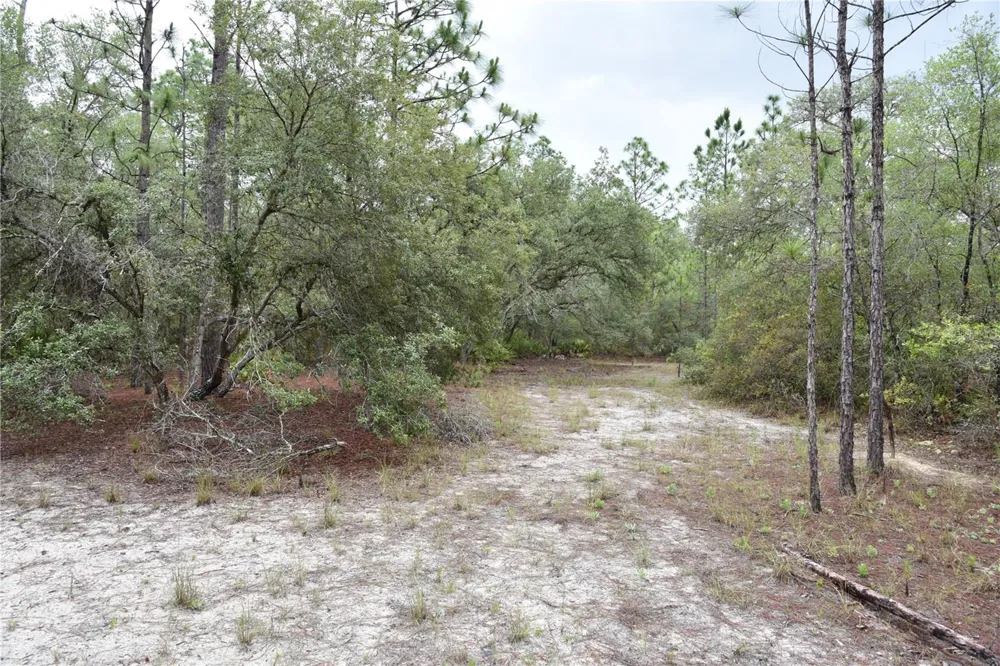 8650 NW 136TH AVENUE Chiefland, FL 32626