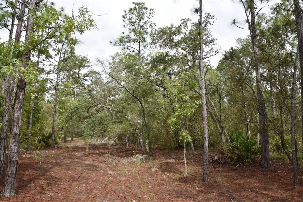 8650 NW 136TH AVENUE Chiefland, FL 32626