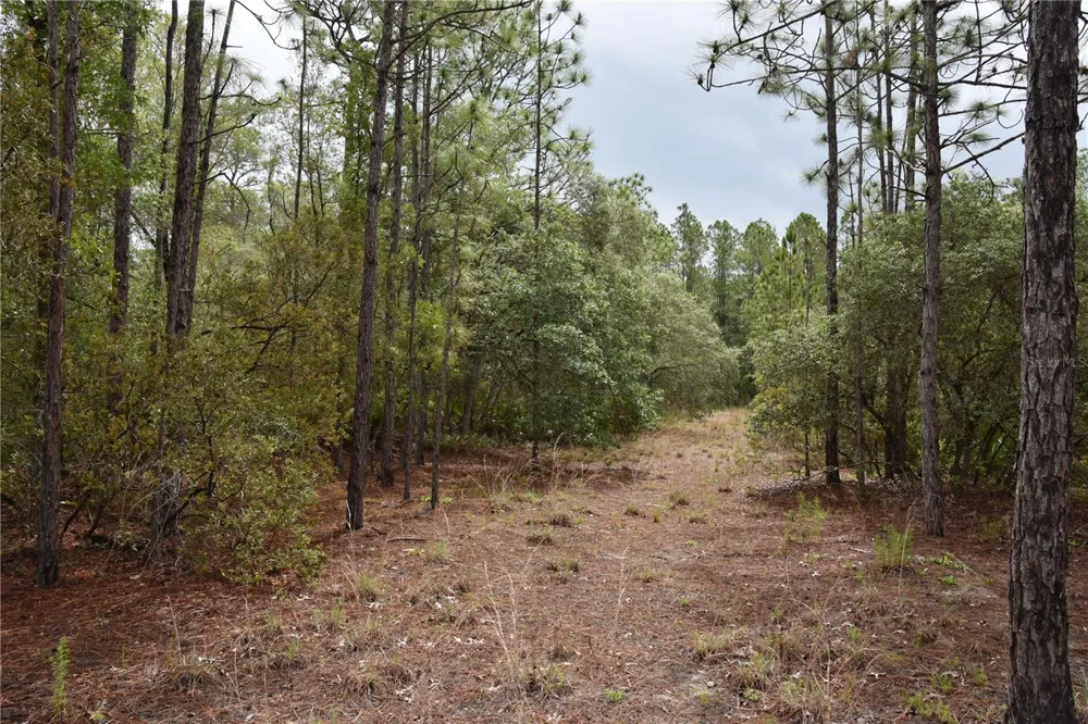 8650 NW 136TH AVENUE Chiefland, FL 32626