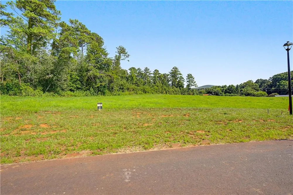 120 Palisade Drive Rydal, GA 30171