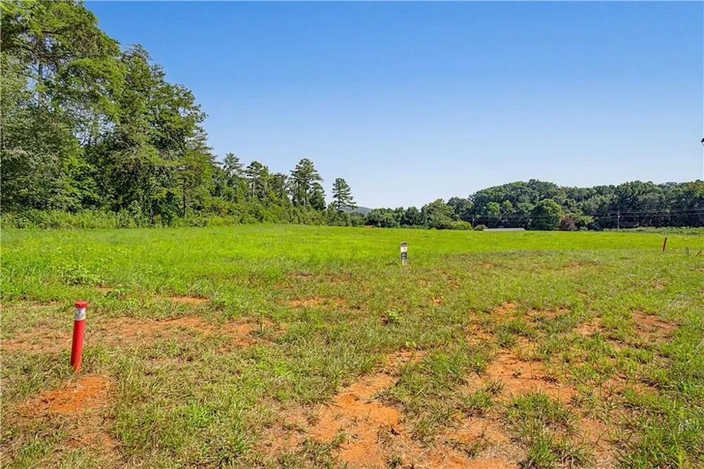 120 Palisade Drive Rydal, GA 30171