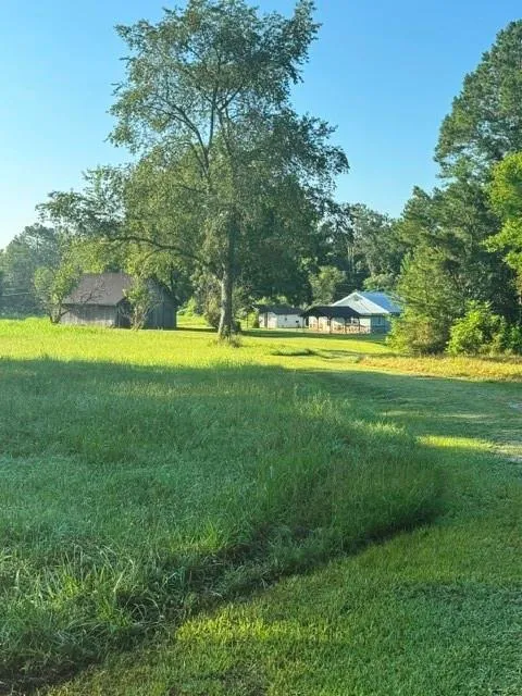 3272 Piedmont Highway
