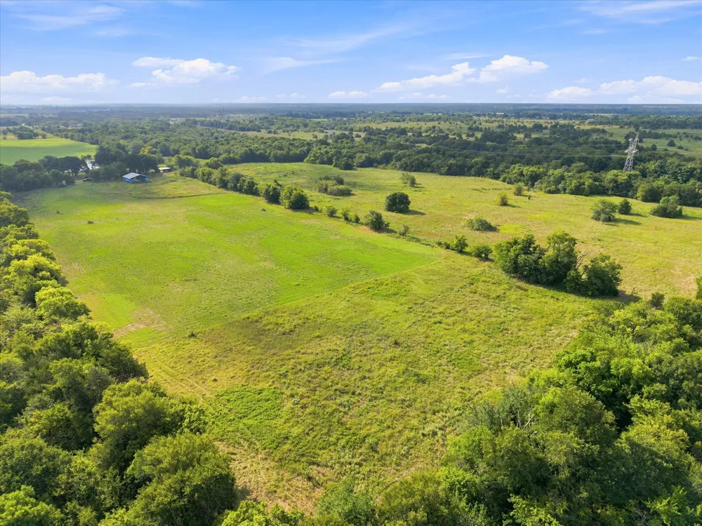 1131 Vz CR 3815 Wills Point, TX 75169