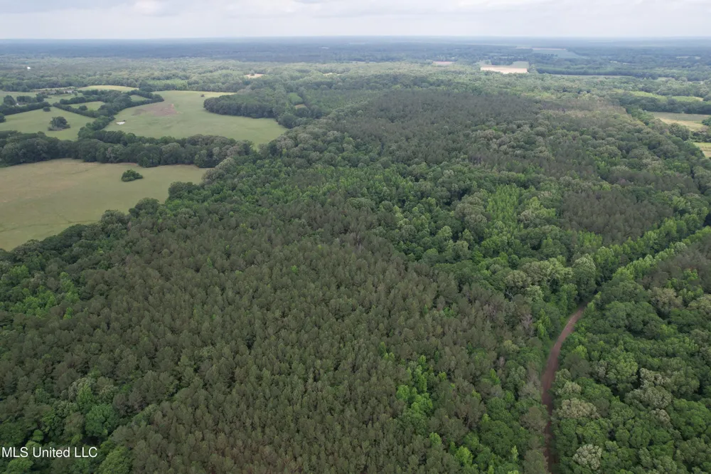 Vaughn Road & Bend Road Vaughan, MS 39179