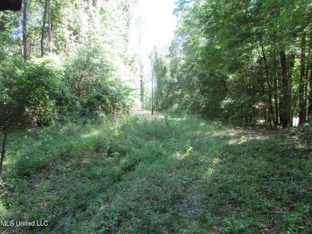 Vaughn Road & Bend Road Vaughan, MS 39179