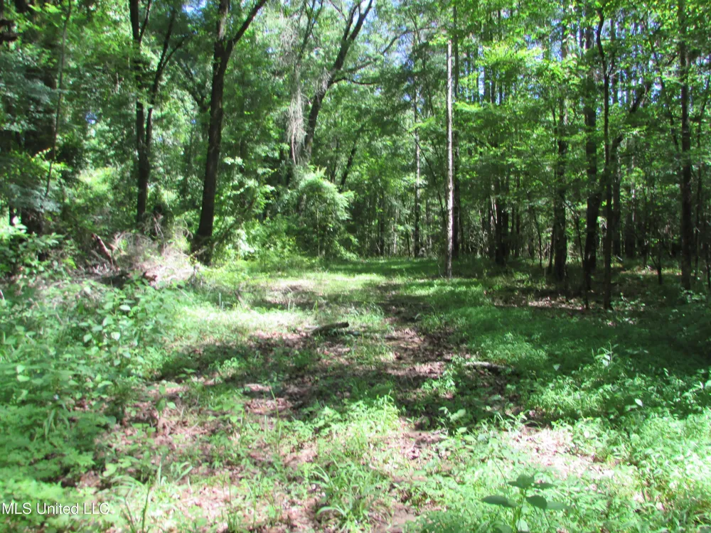 Vaughn Road & Bend Road Vaughan, MS 39179