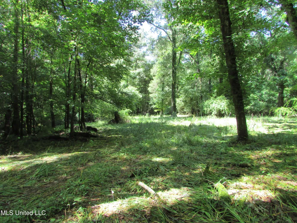 Vaughn Road & Bend Road Vaughan, MS 39179