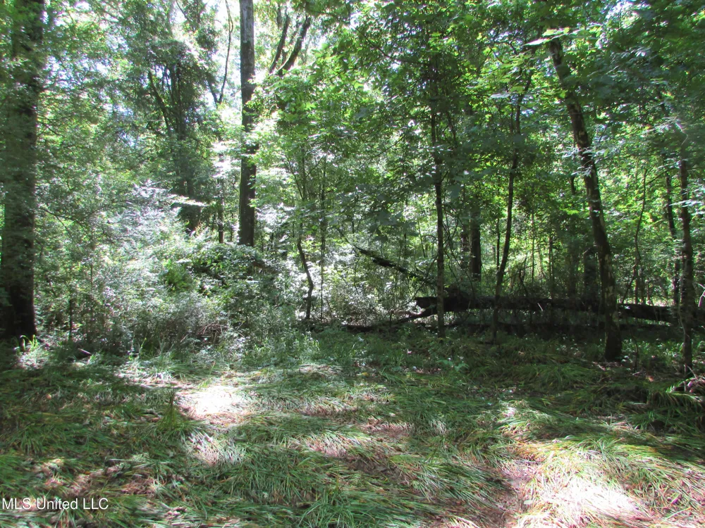 Vaughn Road & Bend Road Vaughan, MS 39179