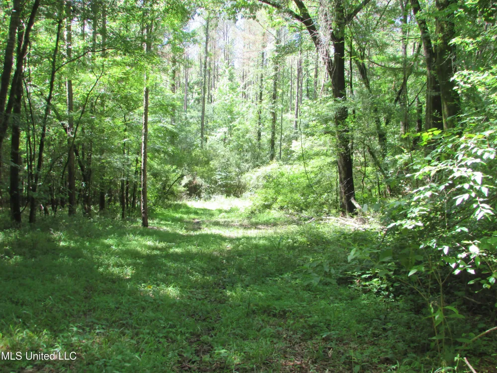 Vaughn Road & Bend Road Vaughan, MS 39179