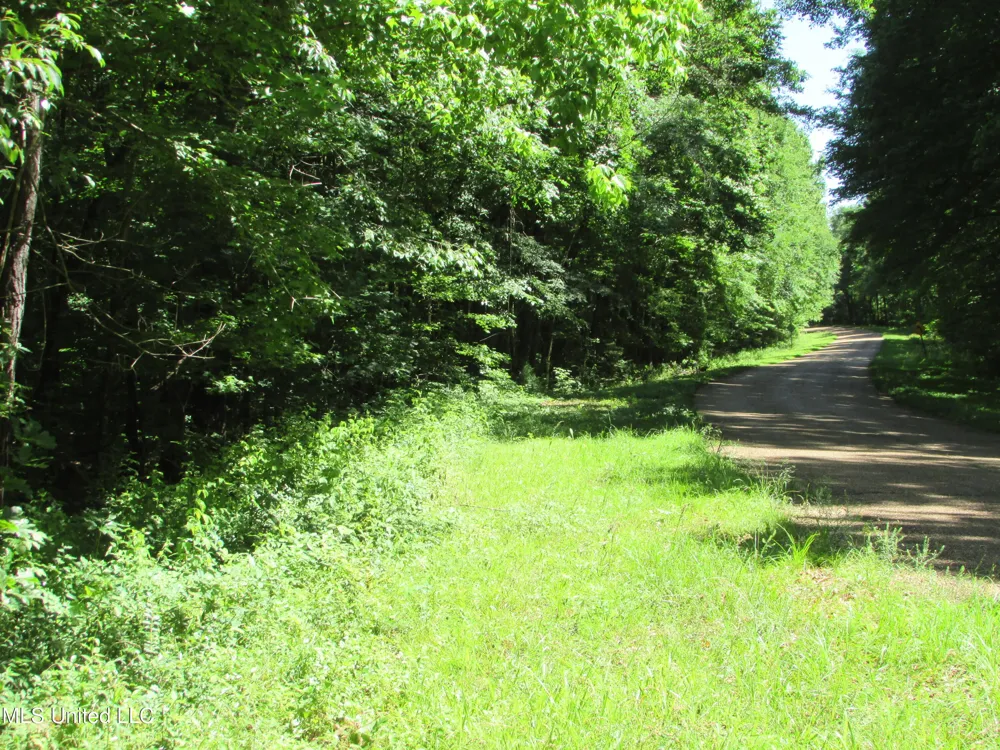 Vaughn Road & Bend Road Vaughan, MS 39179