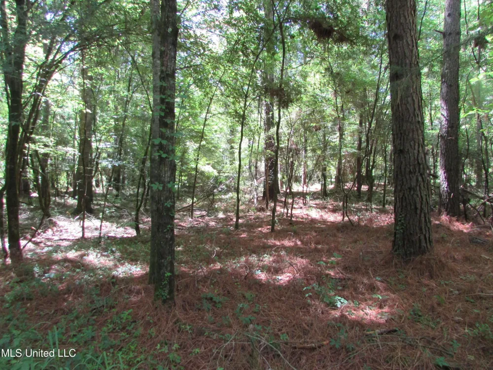 Vaughn Road & Bend Road Vaughan, MS 39179