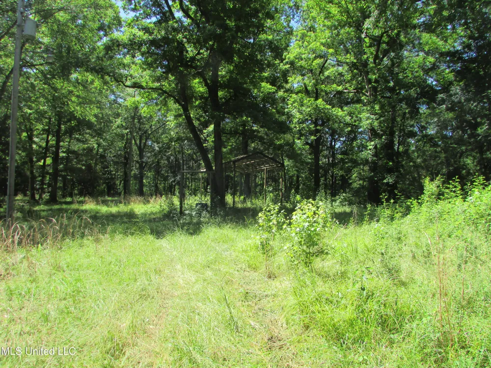 Vaughn Road & Bend Road Vaughan, MS 39179