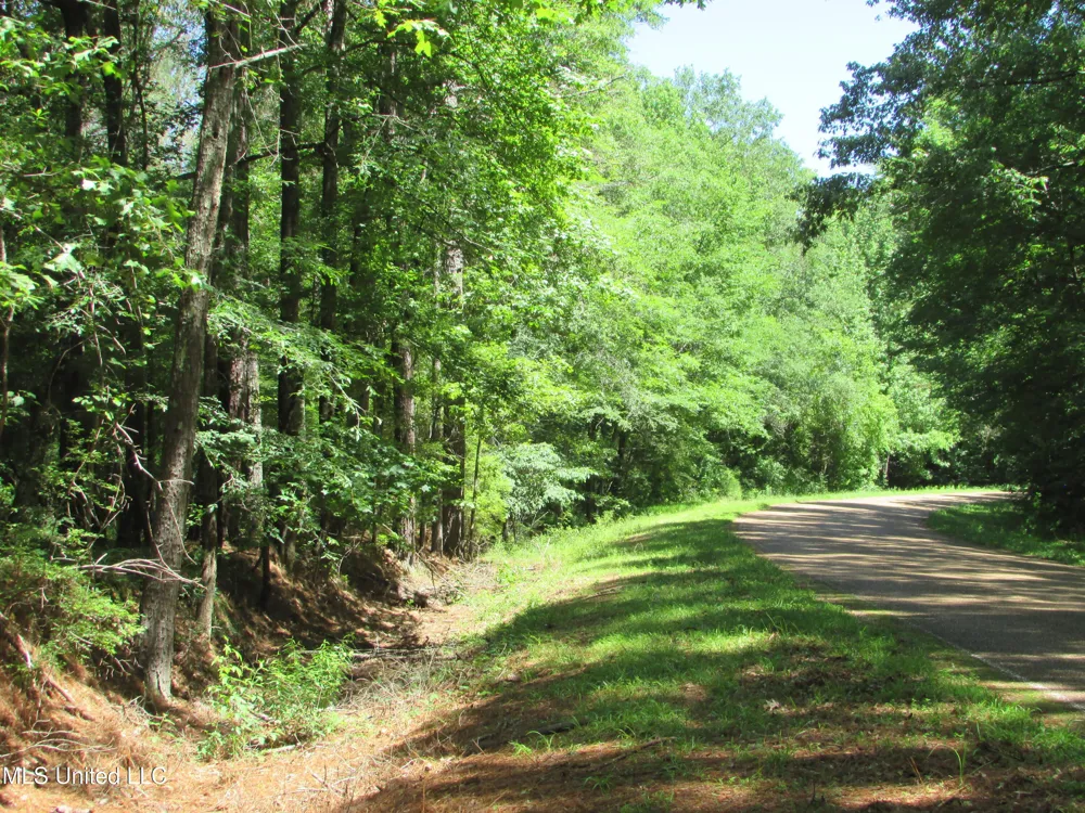 Vaughn Road & Bend Road Vaughan, MS 39179