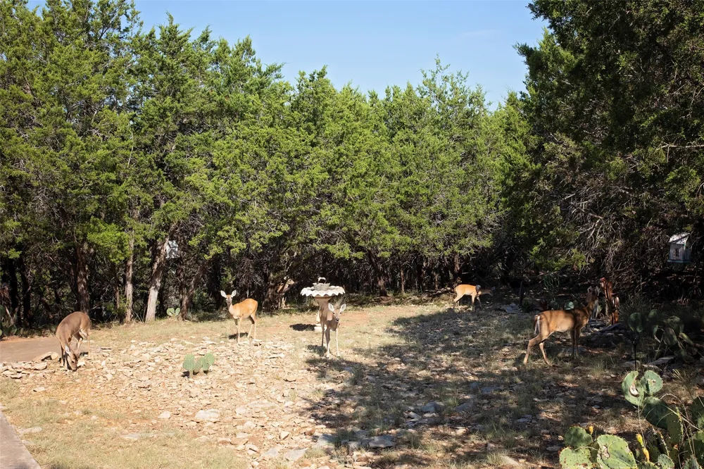880 Cliffs Drive #2 Possum Kingdom Lake, TX 76449